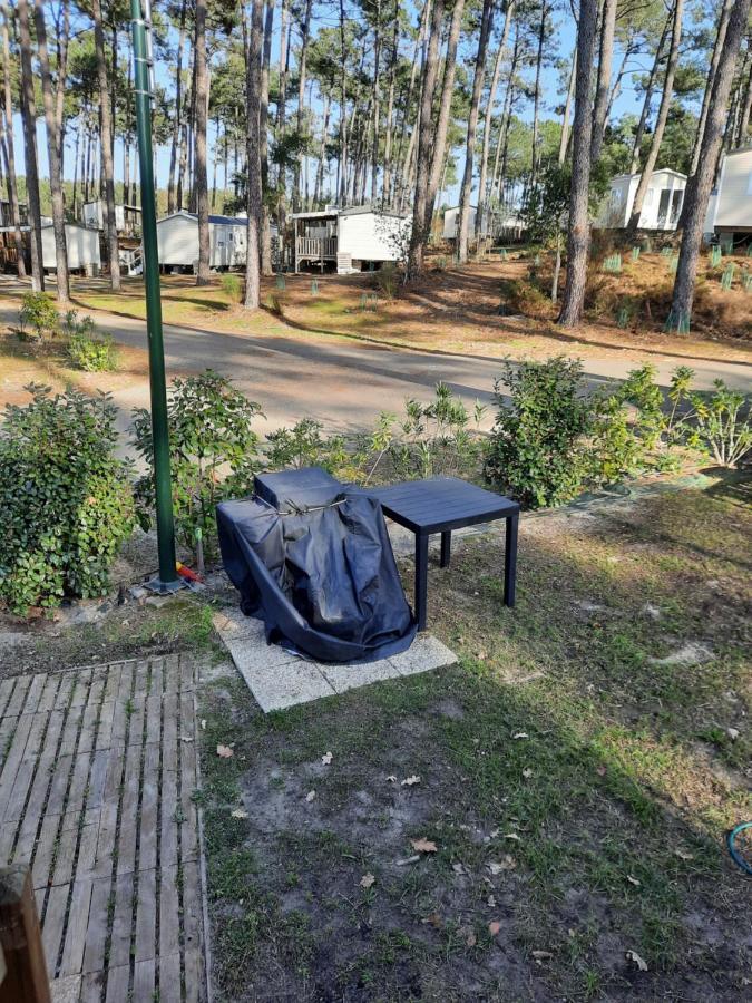 Campsite Jpp Marie Ange Proprietaire